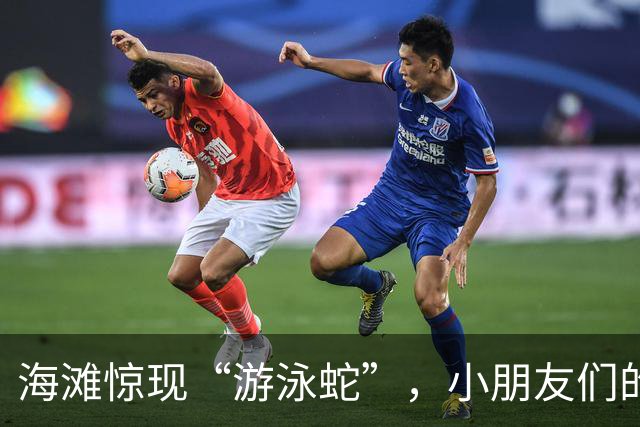 海滩惊现“游泳蛇”，小朋友们的沙滩乐园变身惊悚片！